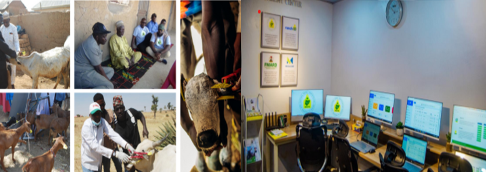 Livestock Identification and Traceability
